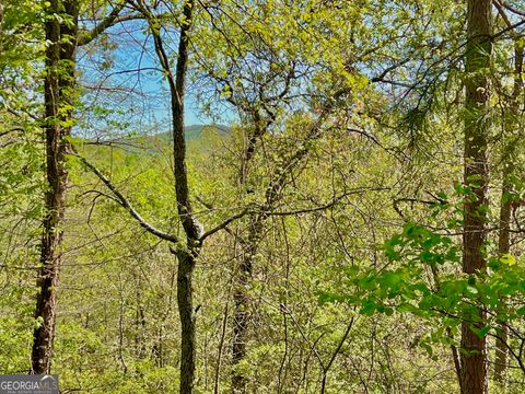 Photo of 691 Railey Ridge Lane, Ranger, GA 30734 (MLS # 10511625)