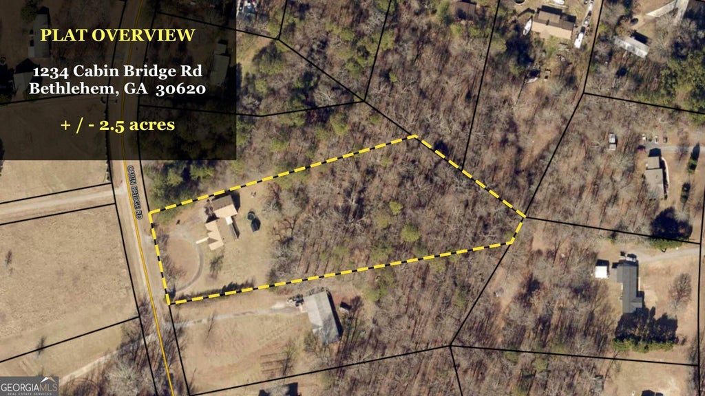 Photo of 1234 Cabin Bridge Road, Bethlehem, GA 30620 (MLS # 10874552)