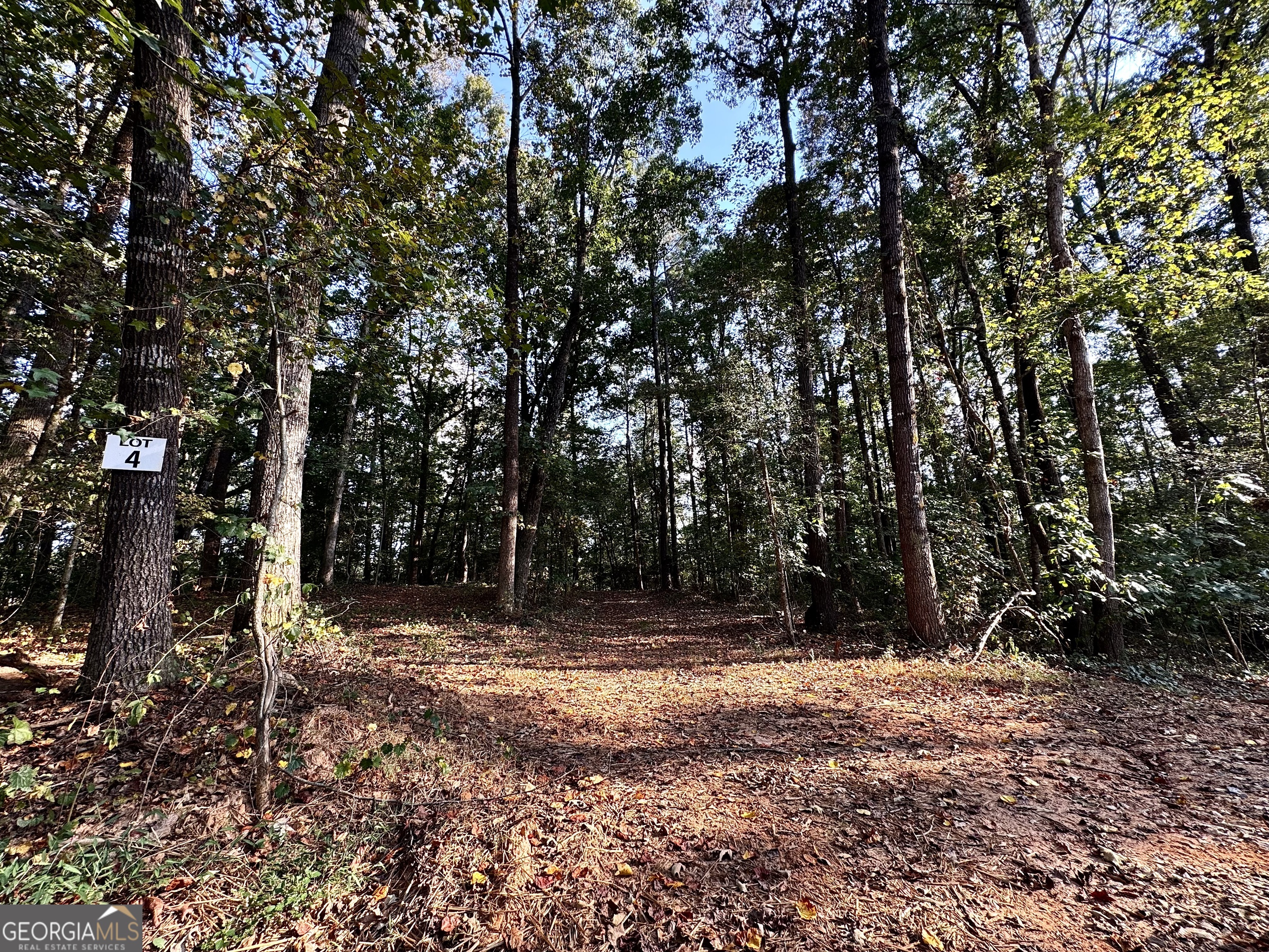 427 Kinney Creek LN