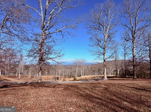 C4 Briar Woods LN Blue Ridge GA 30513