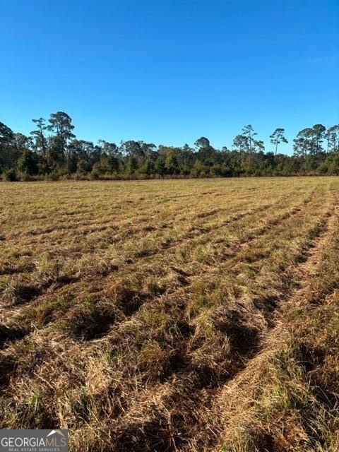 Photo of 4880 HWY 280 W, CLAXTON, GA 30417 (MLS # 10637971)