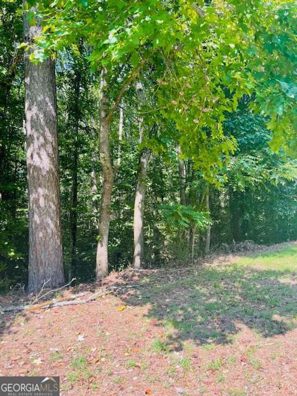 Photo of 109 Hawks Court, Ball Ground, GA 30107 (MLS # 10689868)