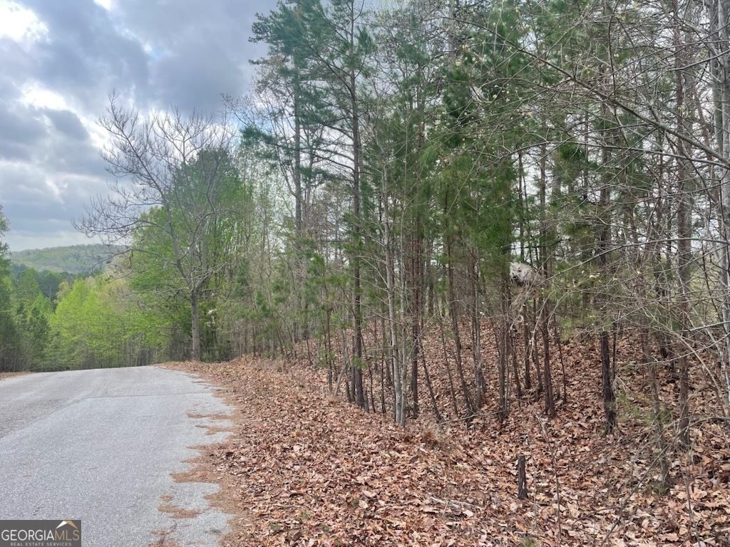 Photo of 0 Planters Pointe Drive, Baldwin, GA 30511 (MLS # 10654119)