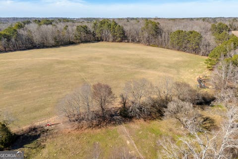 Photo of 1681 Sibley School Road, Greensboro, GA 30642 (MLS # 10800879)