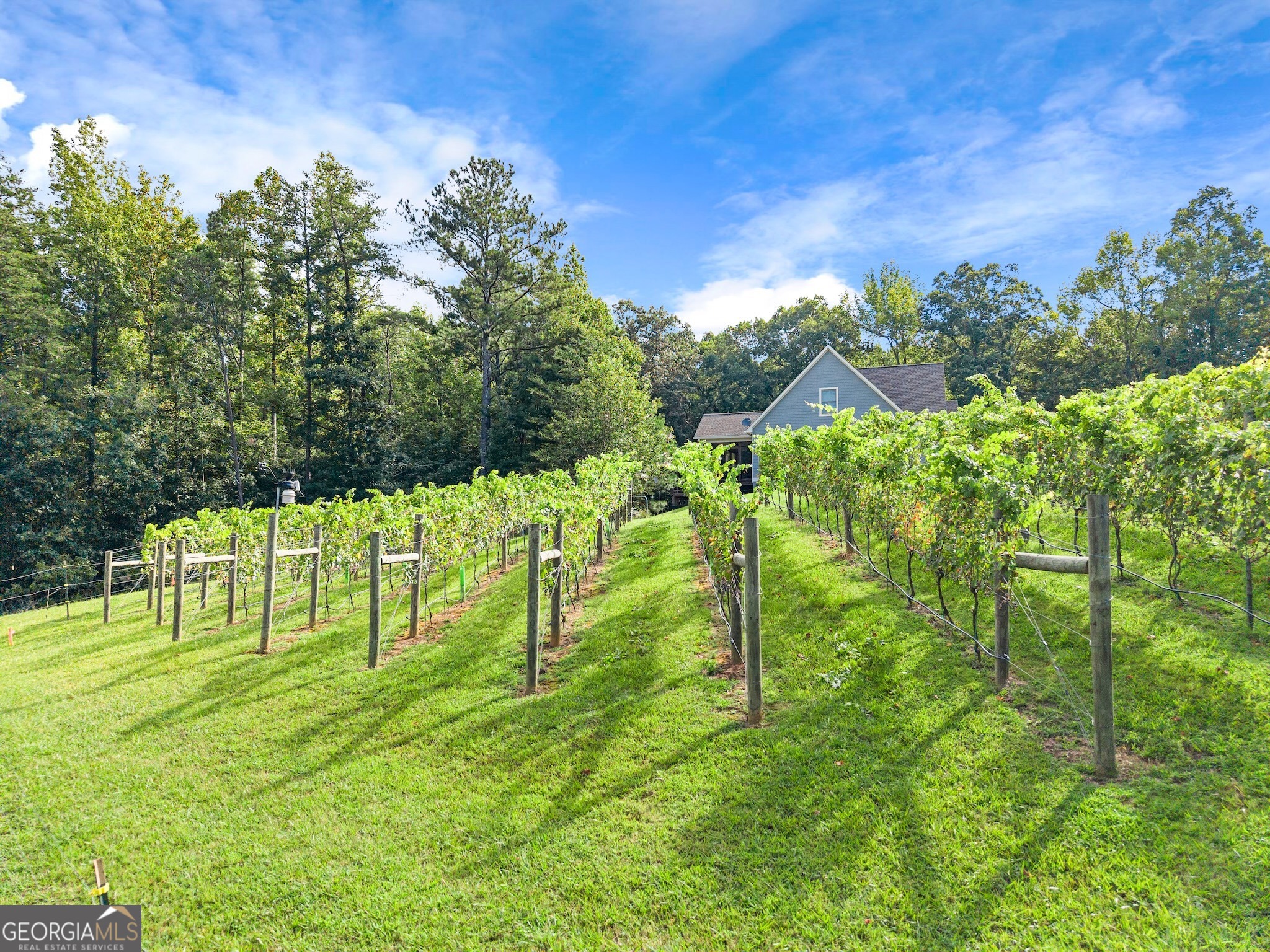 253 Happy Trails WAY