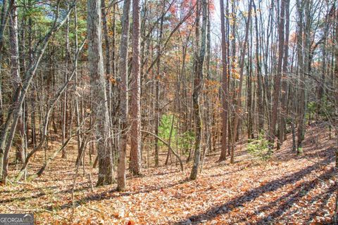 Photo of 119 Waldrip Drive, Dawsonville, GA 30534 (MLS # 10658490)