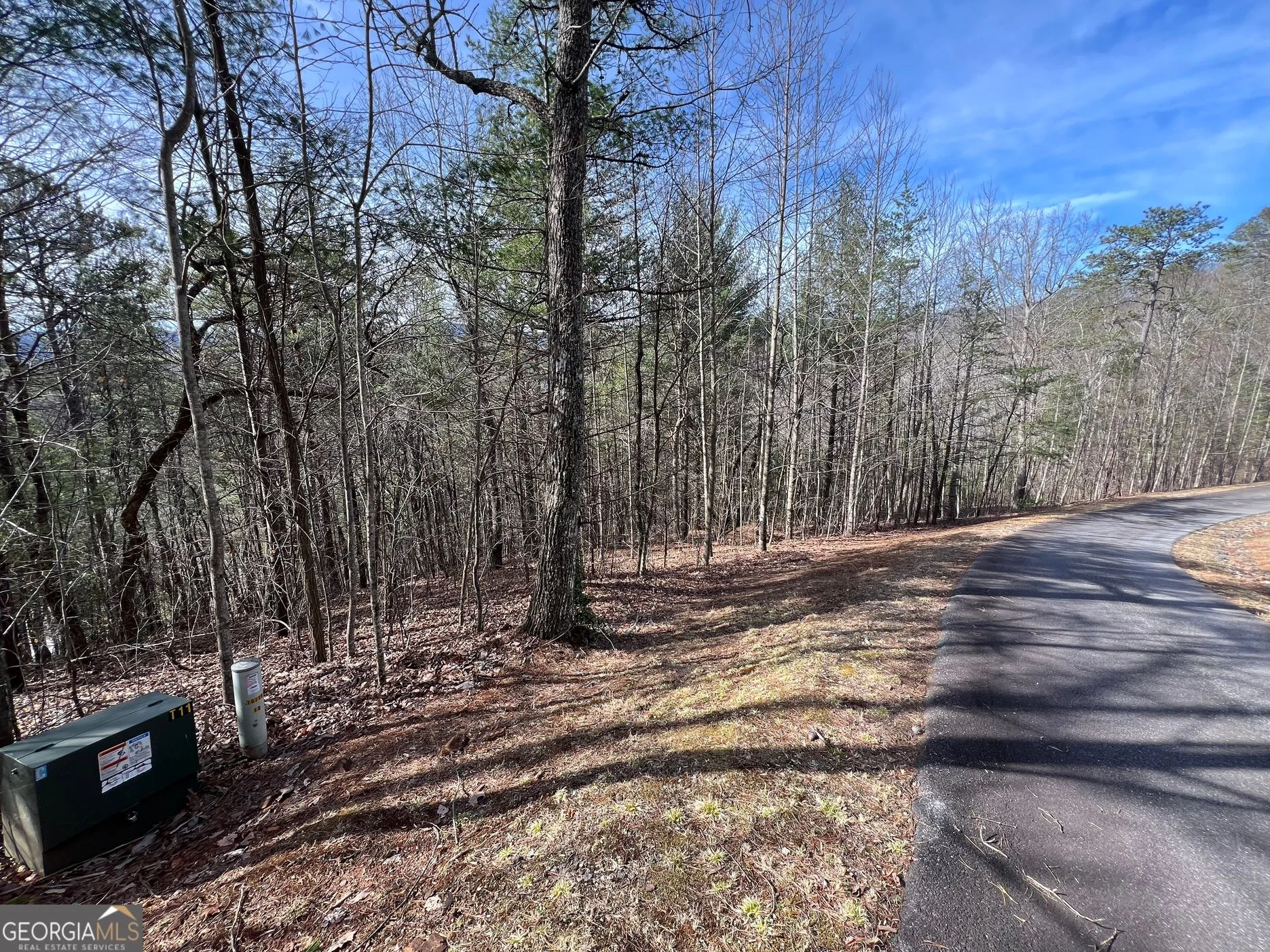 02.17AC LOT 11 Choestoe Trail