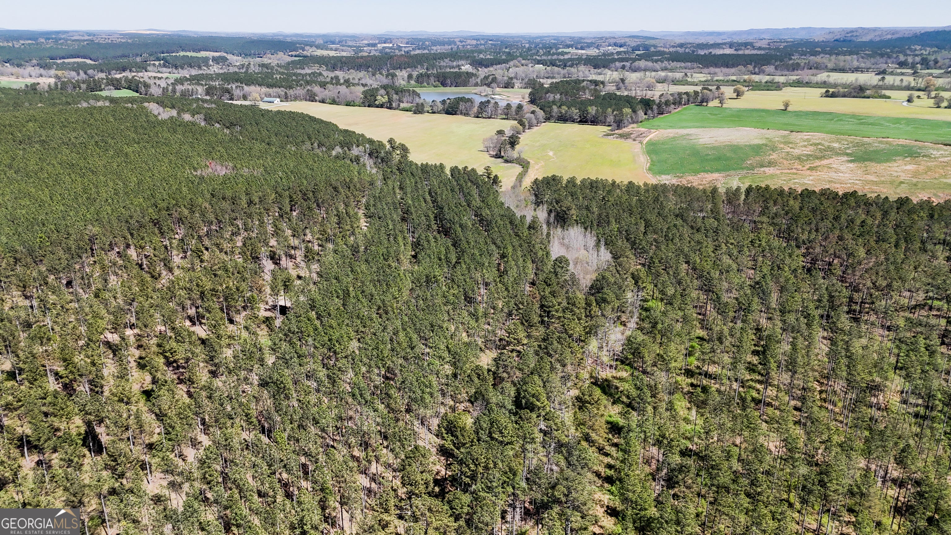 20 ACRES Youngs Farm RD