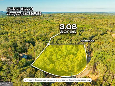 0 Amber CT Jasper GA 30143