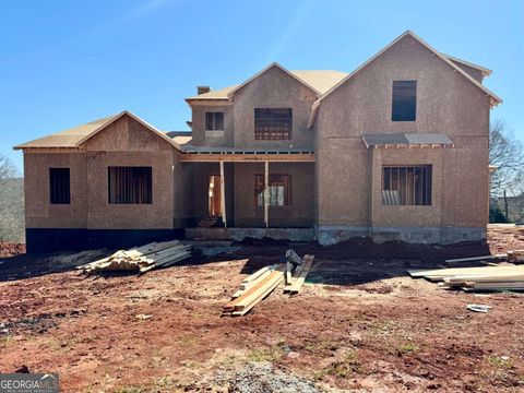 748799311 Hoschton Georgia Homes for Sale $700,000-$800,000