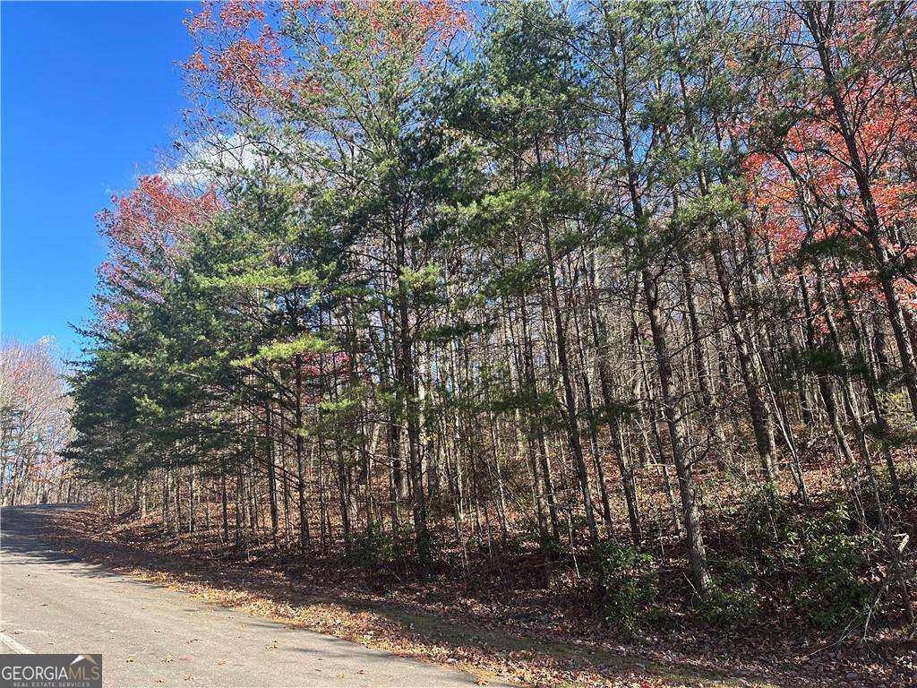 Photo of 503 Saint Andrews Way, Ellijay, GA 30536 (MLS # 10658141)