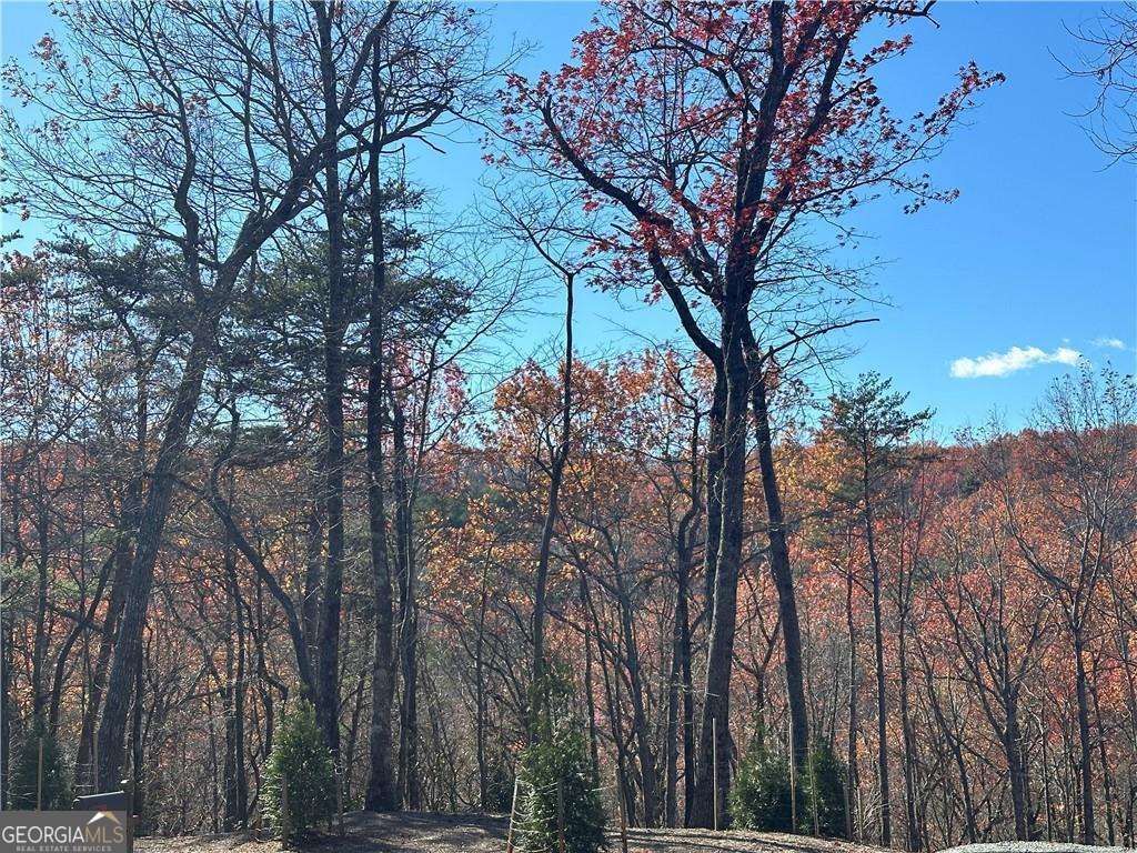 Photo of 503 Saint Andrews Way, Ellijay, GA 30536 (MLS # 10658141)