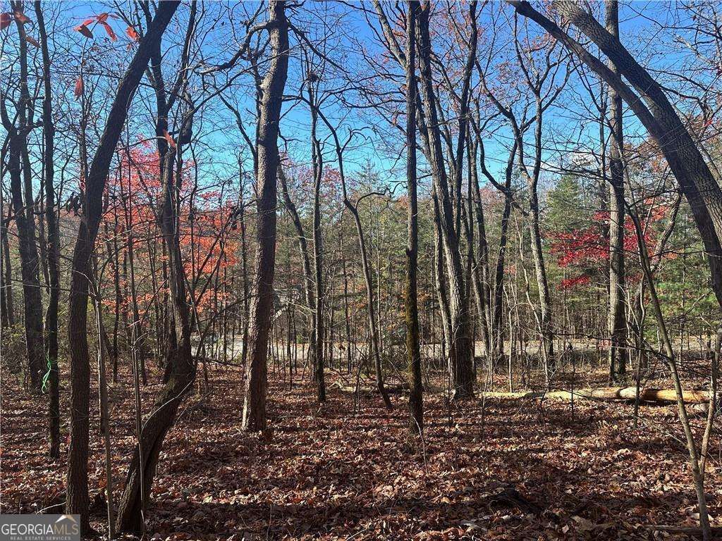 Photo of 503 Saint Andrews Way, Ellijay, GA 30536 (MLS # 10658141)