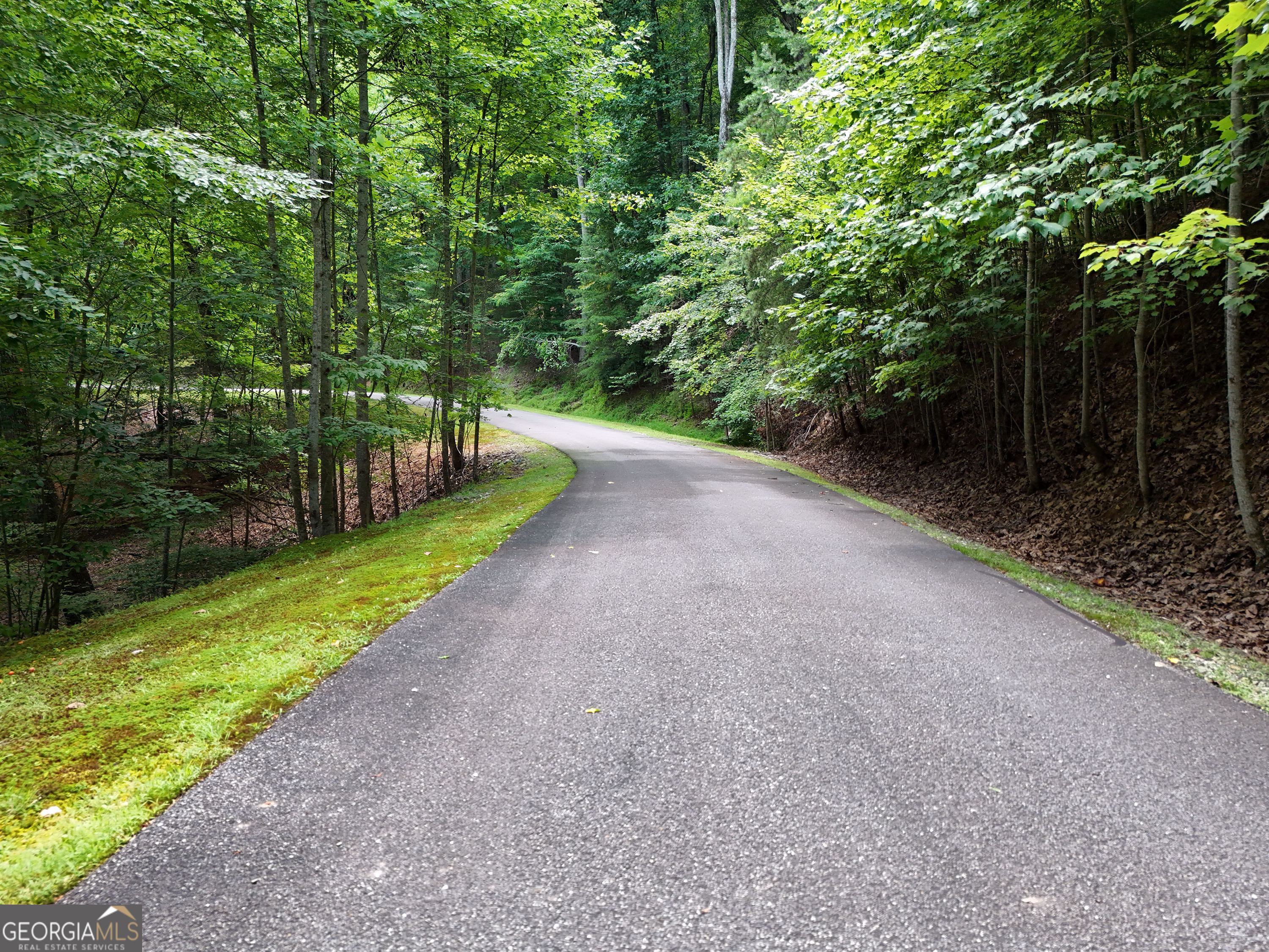 LOT 71 Chicory Drive W