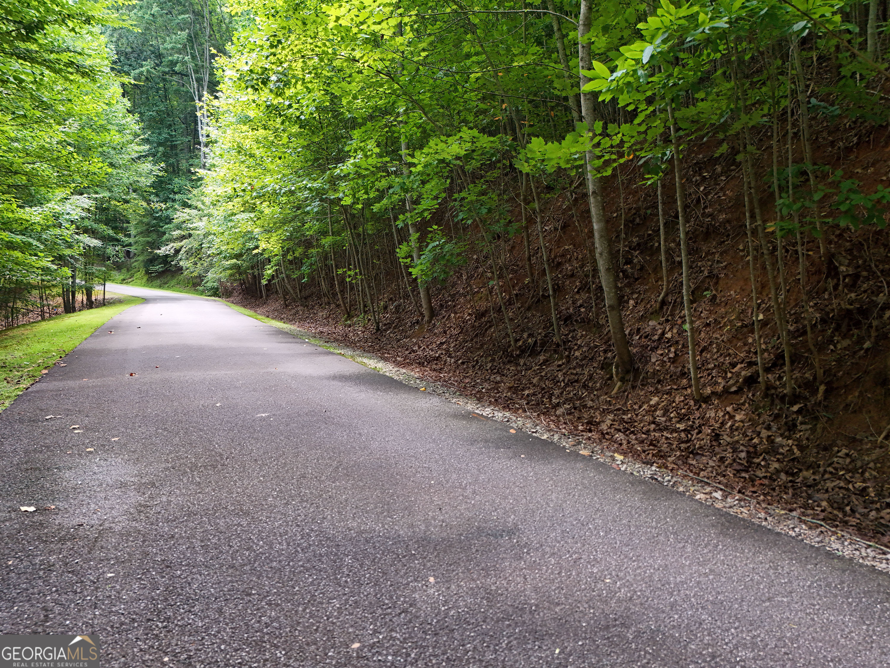 LOT 71 Chicory Drive W