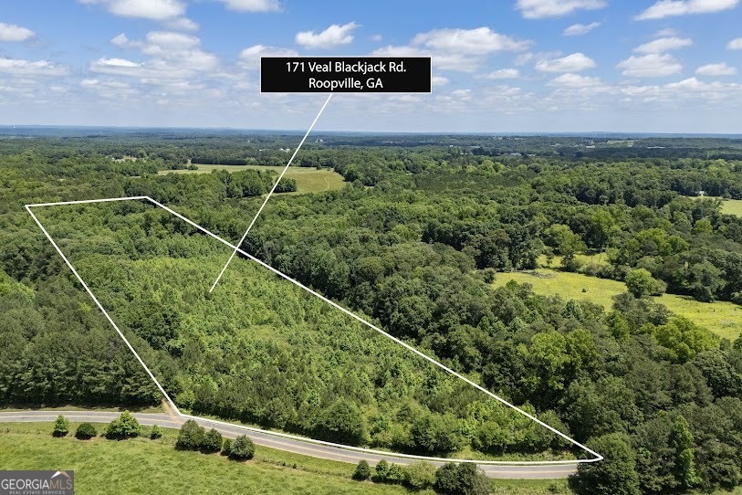 View Roopville, GA 30170 land