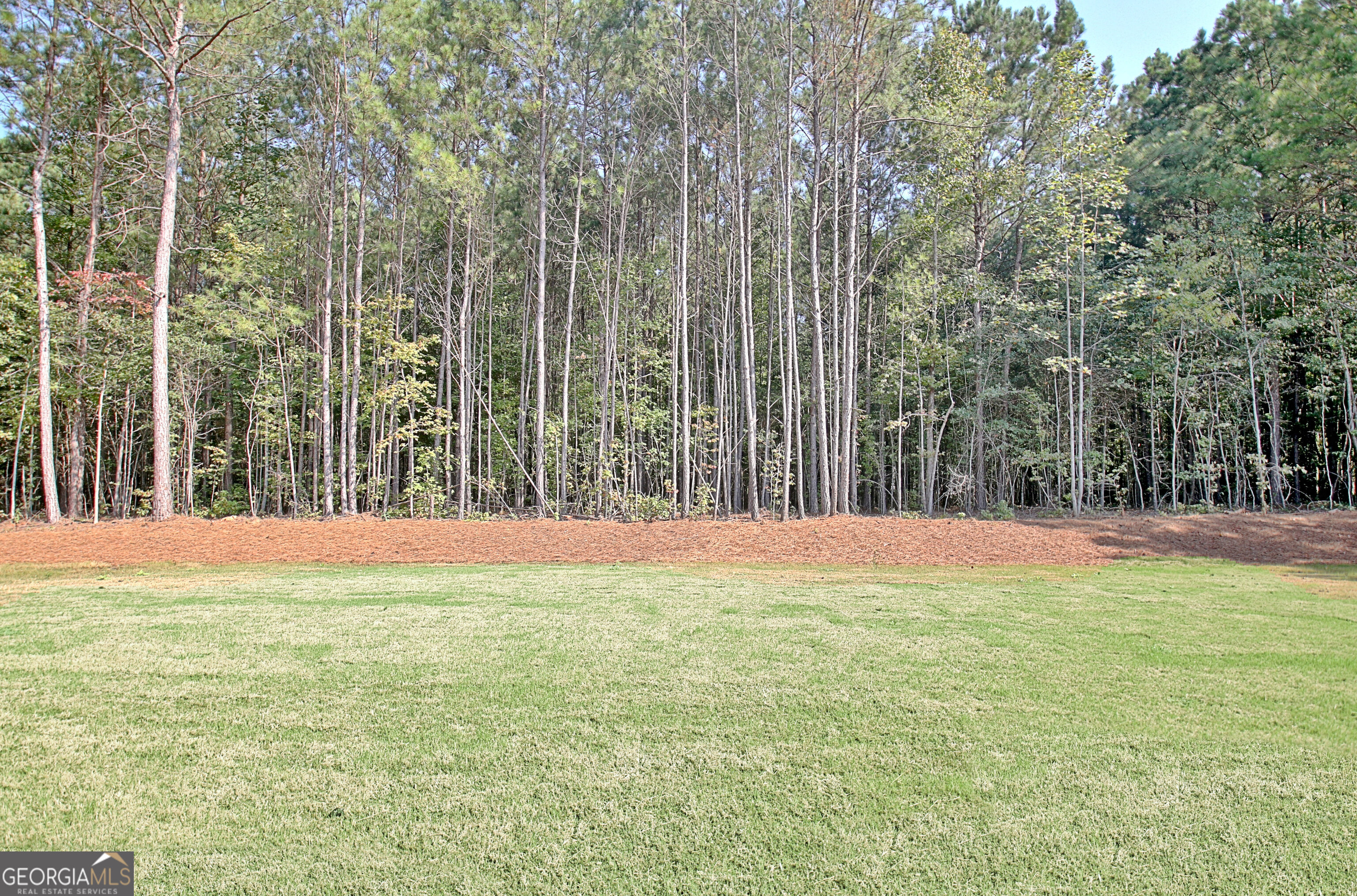 Sharpsburg, Georgia 30277, United States, 5 Bedrooms Bedrooms, ,5 BathroomsBathrooms,Residential,Active,110650