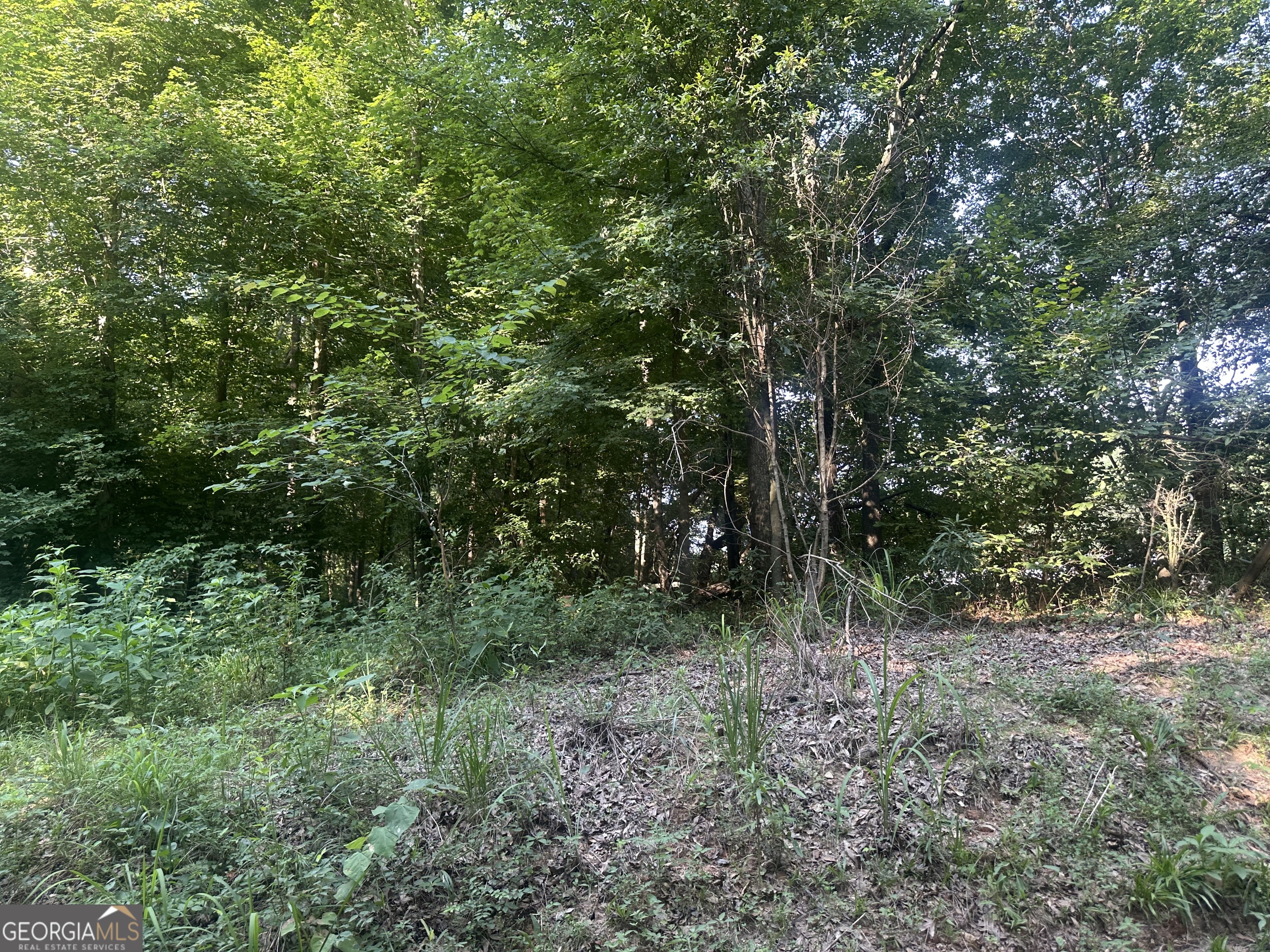 775 RIVERBEND