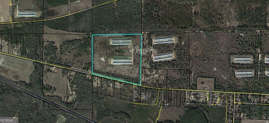 Poultry breeder farm located on 64 +/- acres in Macon County, Georgia with 4 poultry houses, brick home, double-wide manufactured home, storage building and open shed. Property has 572' +/- feet of Hwy 90 paved highway frontage and 1024'+/- feet of county dirt road frontage.