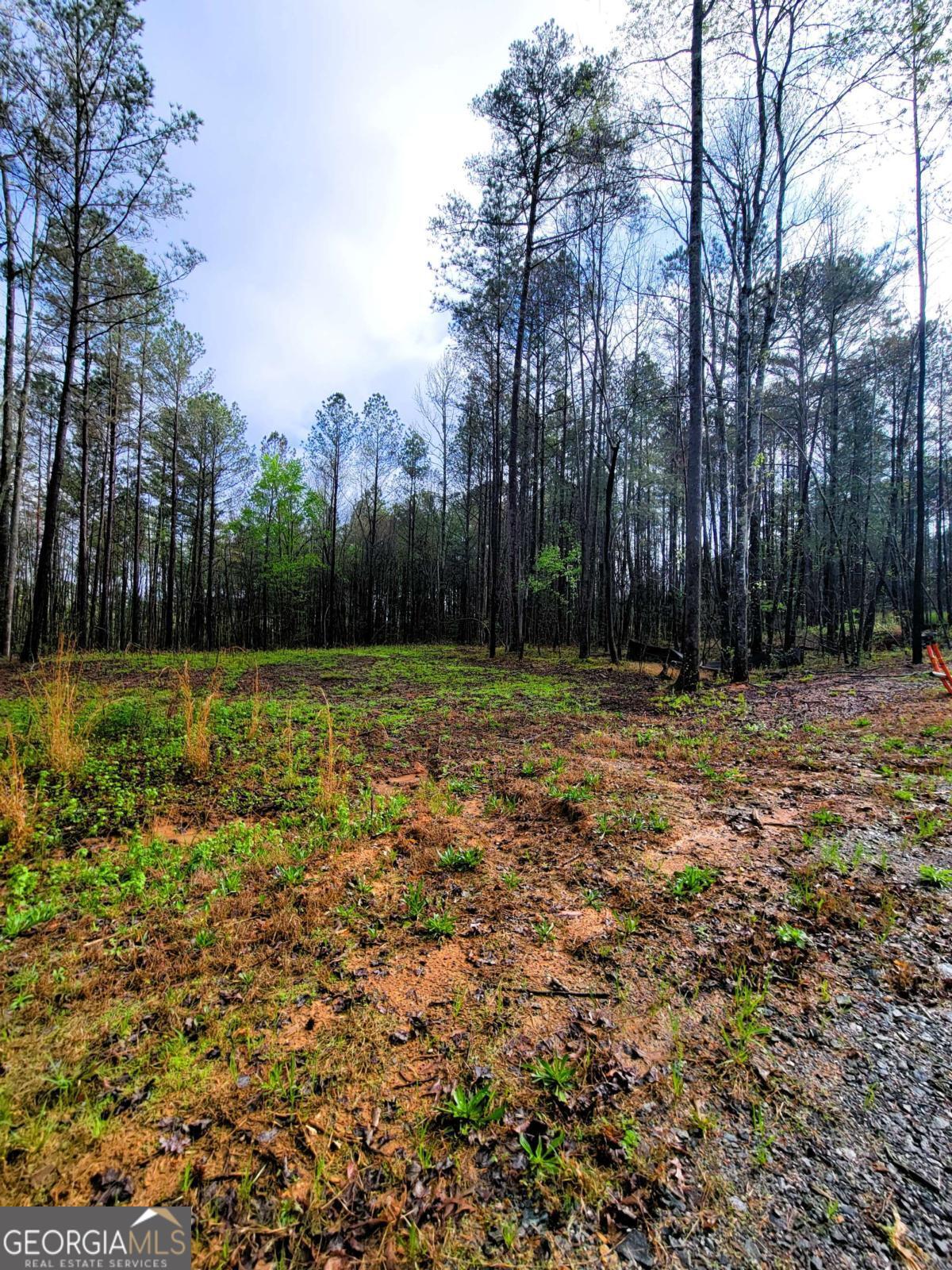 191 Mountaingate WAY