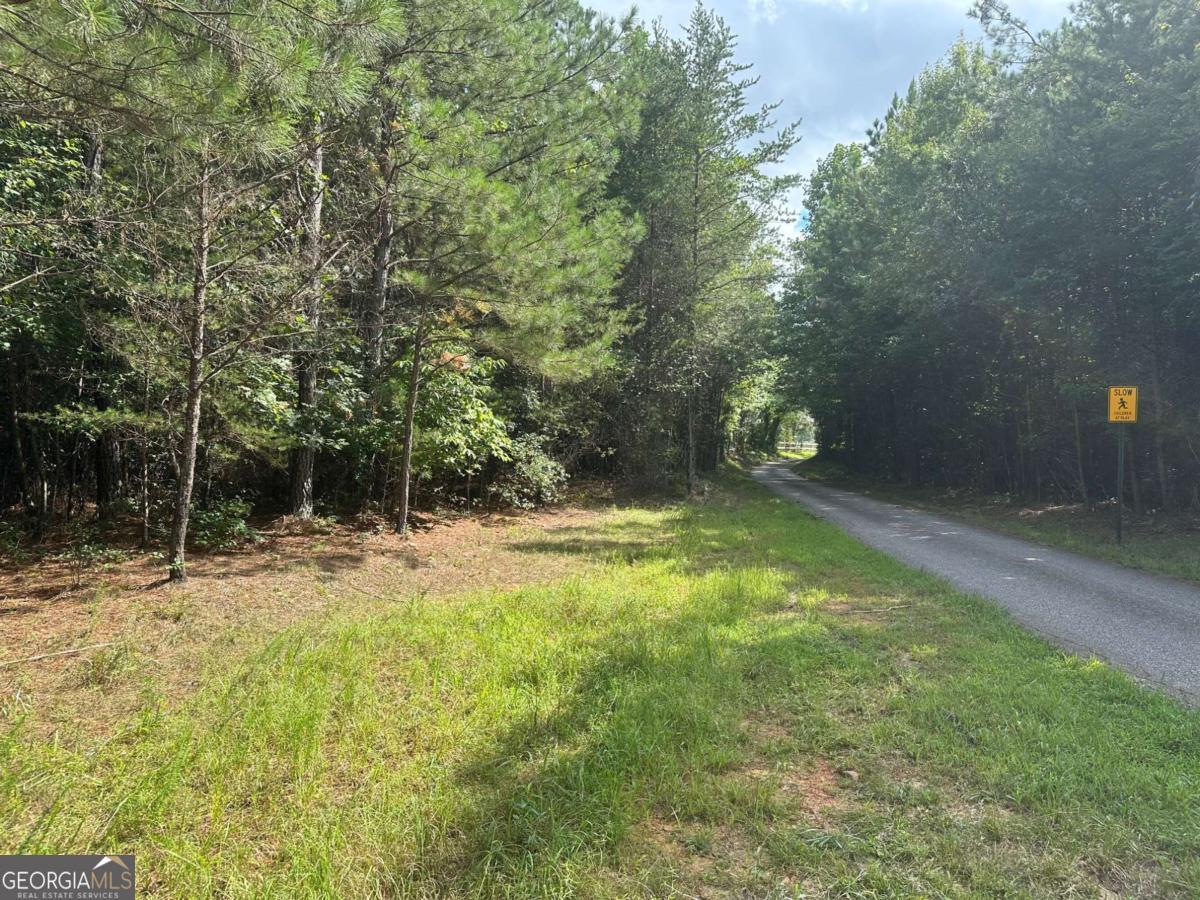 UNRESTRICTED!!!! Extremely hard to find level, Paved County Road Frontage! Flat as a pancake with a beautiful old farm creek. Lovely rectangular shape. It doesn't get better than this. You own both sides of the creek, perfect for a pond! In an area of other lovely farms. Bring the horses, chickens. Build your barndo, farmhouse, dream home! Park your boat, RV, camper. This is your land, your way. It will be a perfect homestead or farm! Qualifying size for CUVA if you decide you want to reap tax savings! It is currently NOT in conservation, no worries. Country living, in an area everyone is looking. County does allow two houses. Cannot be split. Best opportunity around. Additional 4 acres available here and we have additional opportunities in Lumpkin County. Broker/Owner. Appointment owner.