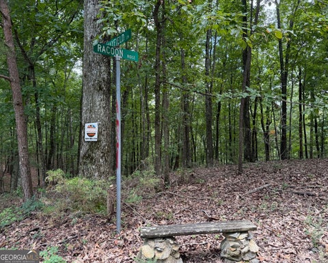 Photo of 1065 Mayfield Lane, Ranger, GA 30734 (MLS # 10821914)