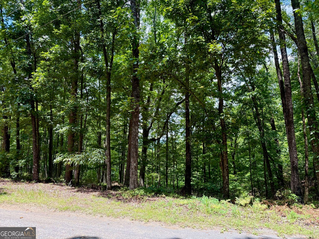 Photo of 1065 Mayfield Lane, Ranger, GA 30734 (MLS # 10821914)