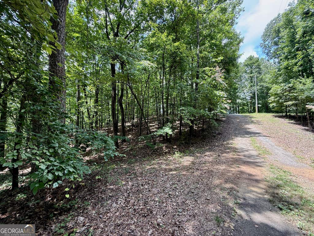 Photo of 1065 Mayfield Lane, Ranger, GA 30734 (MLS # 10821914)