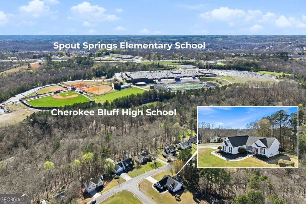 Photo of 5551 Chestnut Creek Lane, Flowery Branch, GA 30542 (MLS # 10711185)