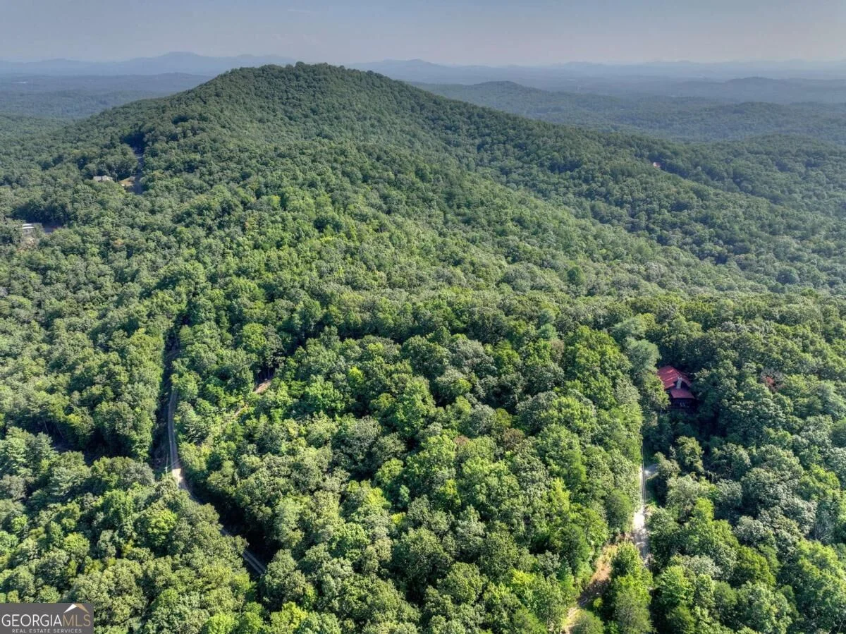 3.6 AC Prince Mountain Road, Cherry Log, GA, 30522