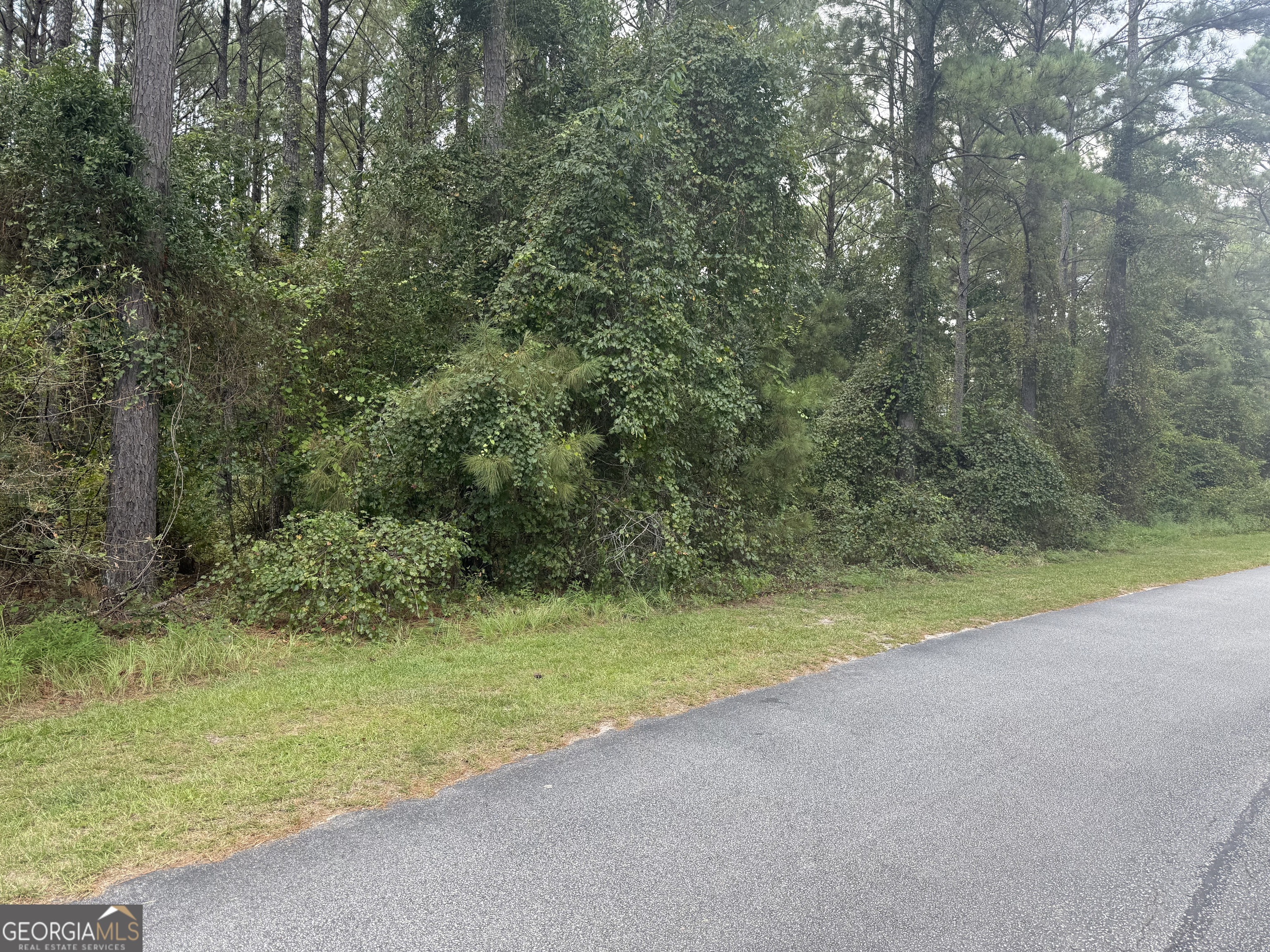 LOT 24 Plantation CIR