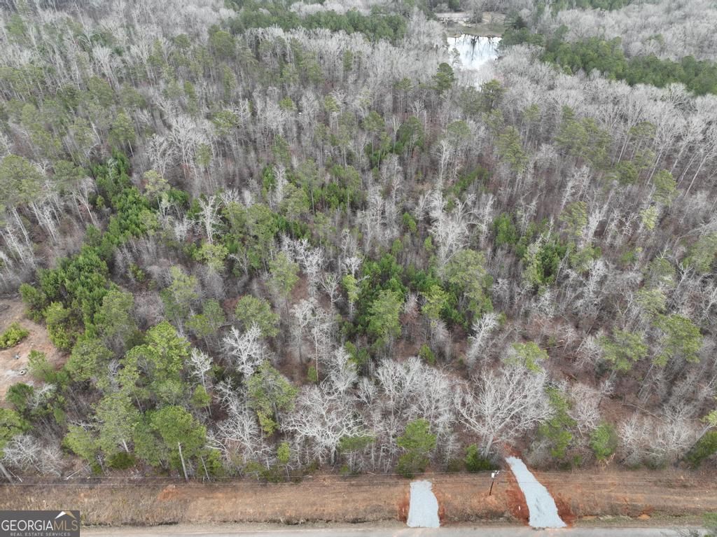 Photo of 177 Rock Creek Road, Flovilla, GA 30216 (MLS # 10775294)