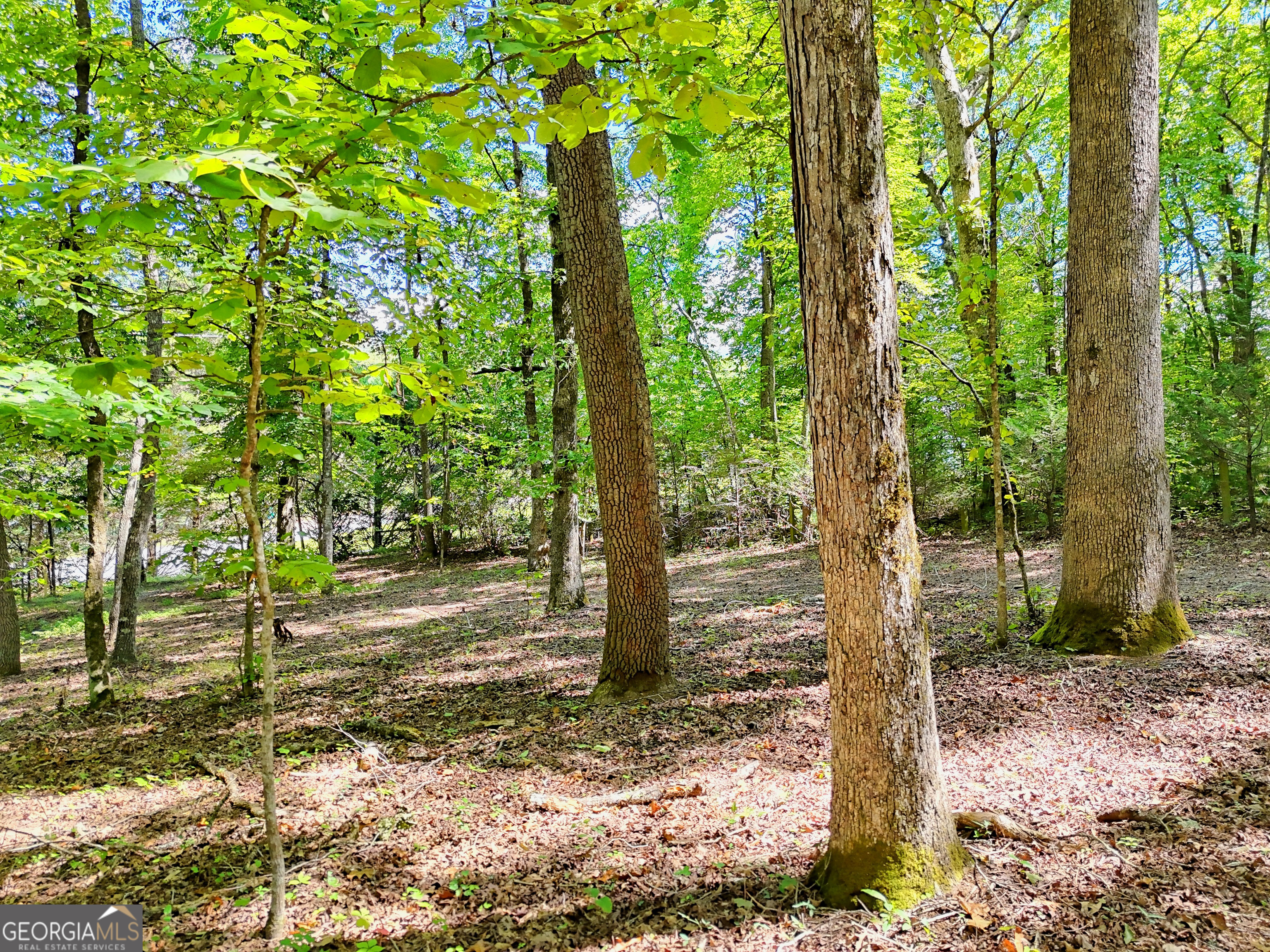 Otto, North Carolina 28763, United States, 3 Bedrooms Bedrooms, ,3 BathroomsBathrooms,Residential,Active,208694