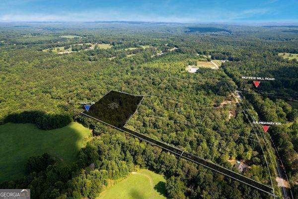 Photo of 7704 Georgia Highway 100, Buchanan, GA 30113 (MLS # 10854815)