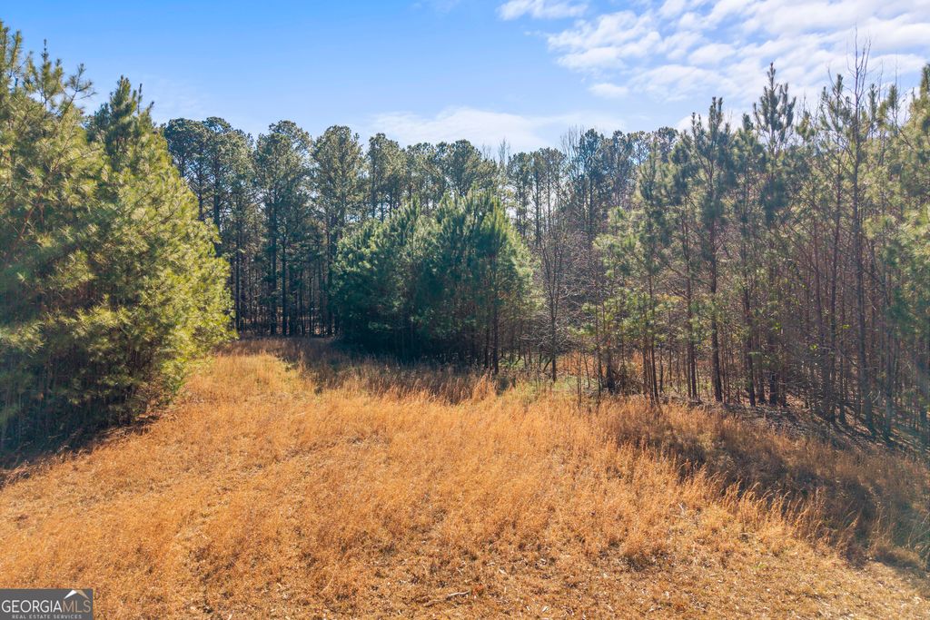 Photo of 0 H D Atha Road, Covington, GA 30014 (MLS # 10677722)