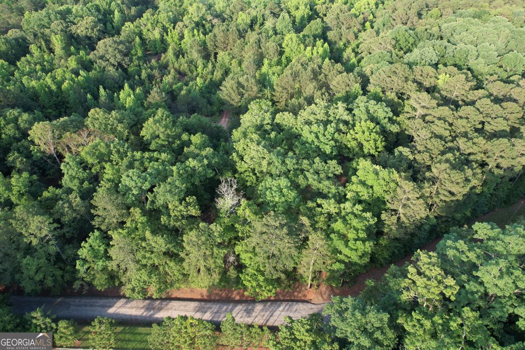 Photo of 541 Ellis Dairy Road, Griffin, GA 30224 (MLS # 10775182)