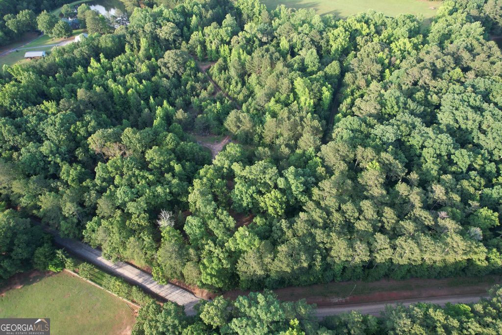 Photo of 541 Ellis Dairy Road, Griffin, GA 30224 (MLS # 10775182)