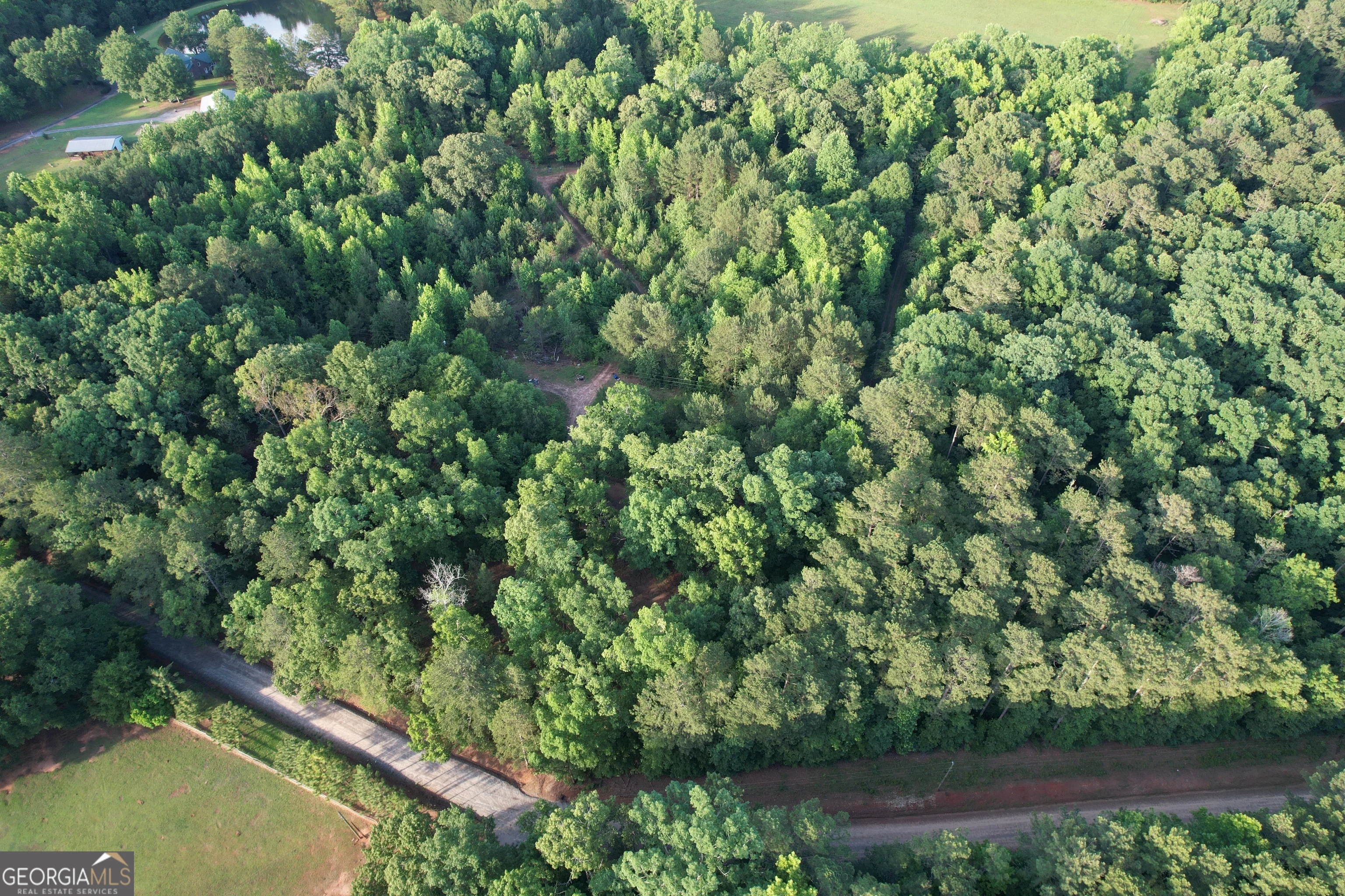 541B Ellis Dairy Road