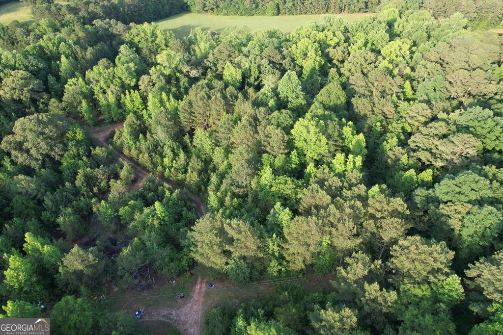 Photo of 541 Ellis Dairy Road, Griffin, GA 30224 (MLS # 10775182)