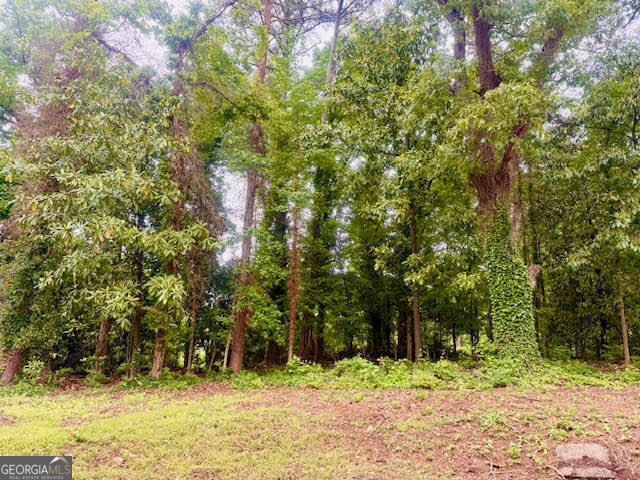 1332 Willis Mill RD SW