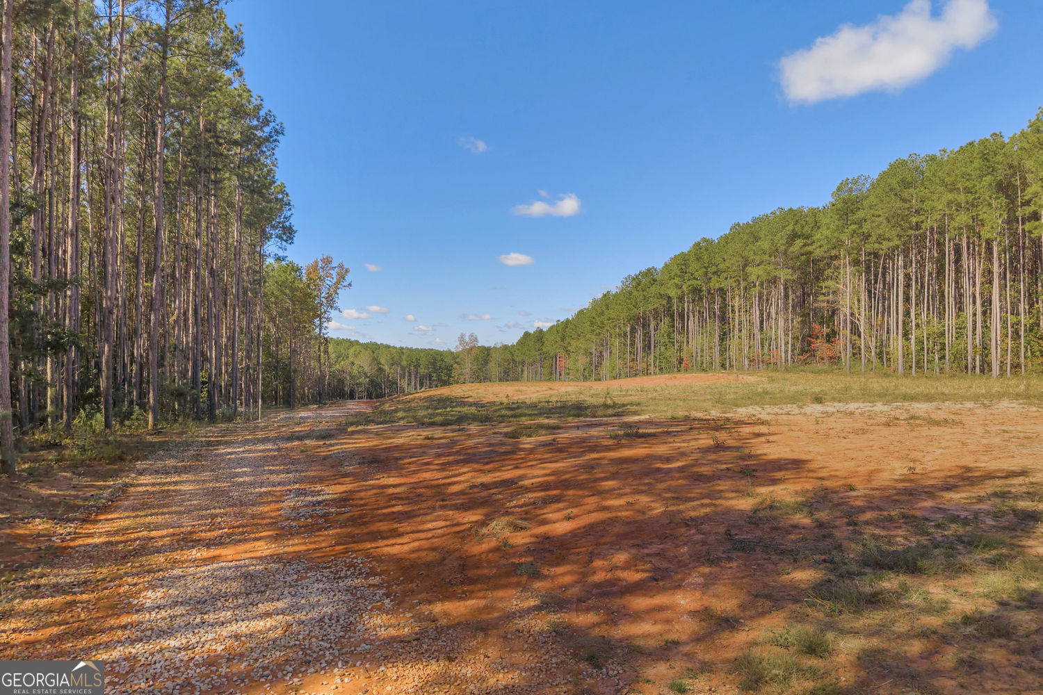 Eastanollee, Georgia 30538, United States, ,Land,Active,236361