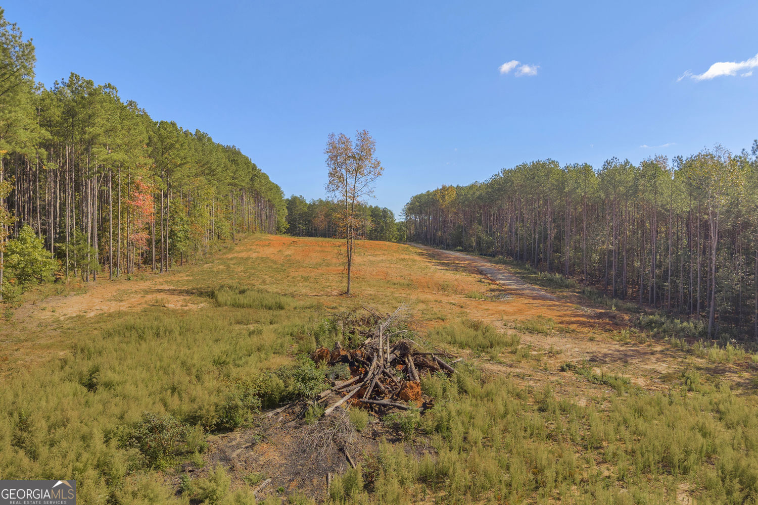 Eastanollee, Georgia 30538, United States, ,Land,Active,236361