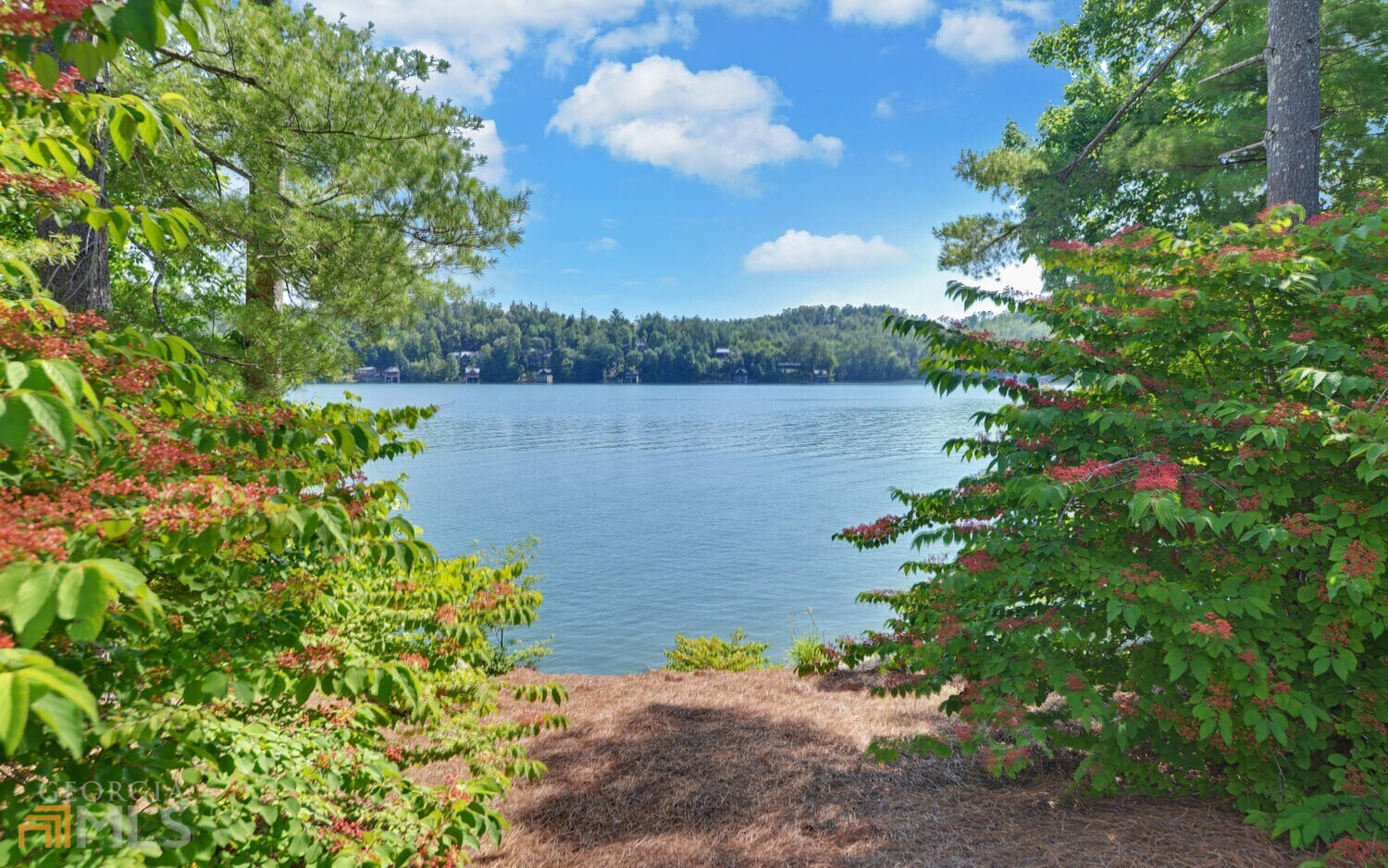 Lake Burton - Residential