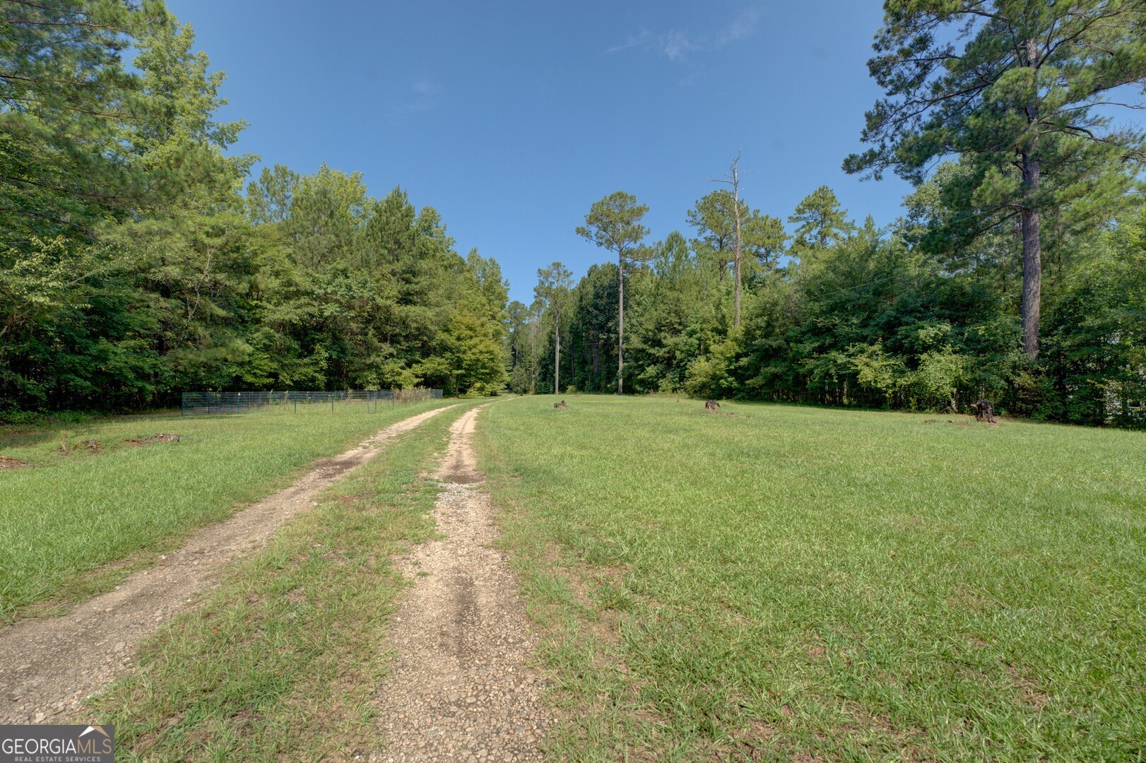 119 Shoals PT