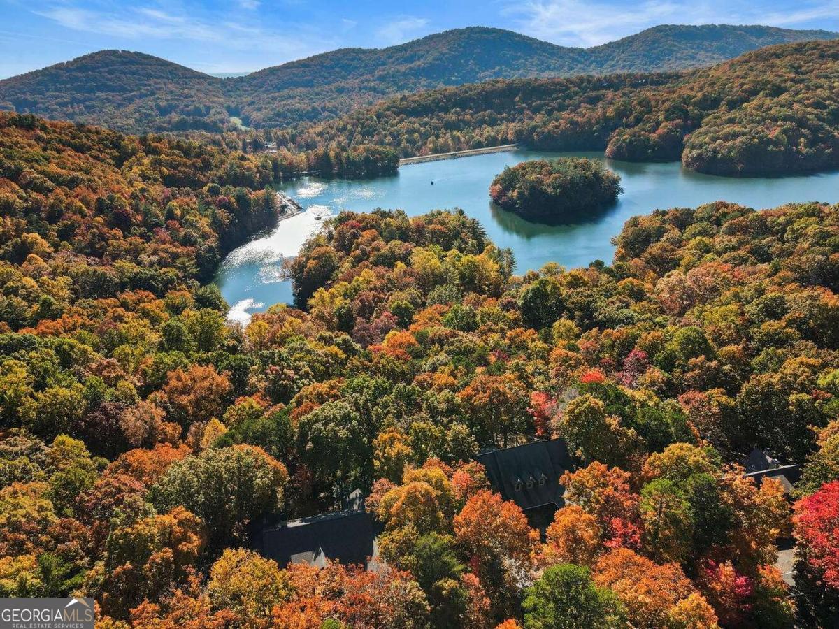 51 Indigo Bunting TRL