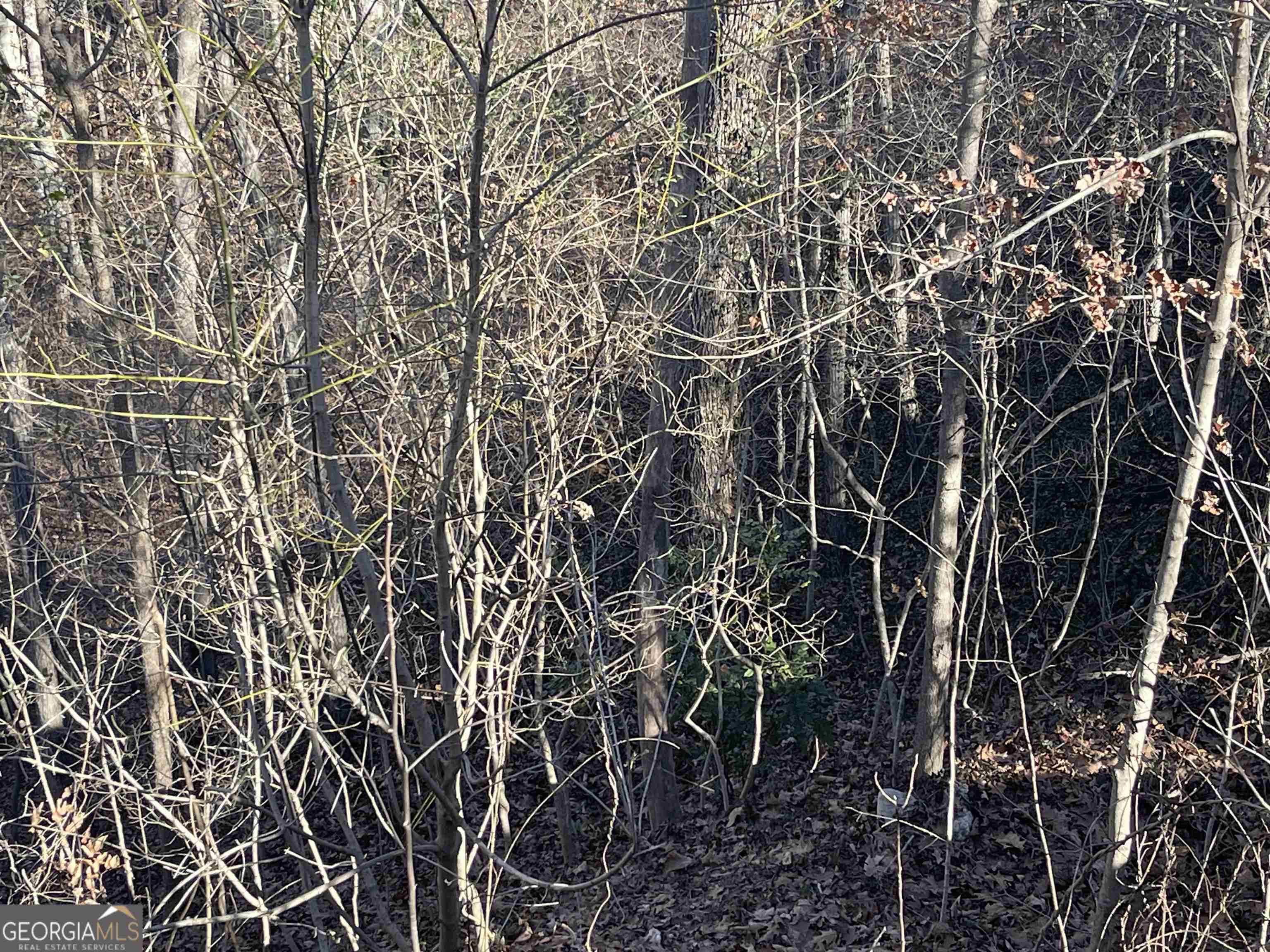 2 lots for sale in neighborhood. Property is conveniently located just a few blocks from King Springs Elementary and Griffin Middle with easy access to grocery, entertainment, shopping and highways. Great for prospective homeowners/builders.