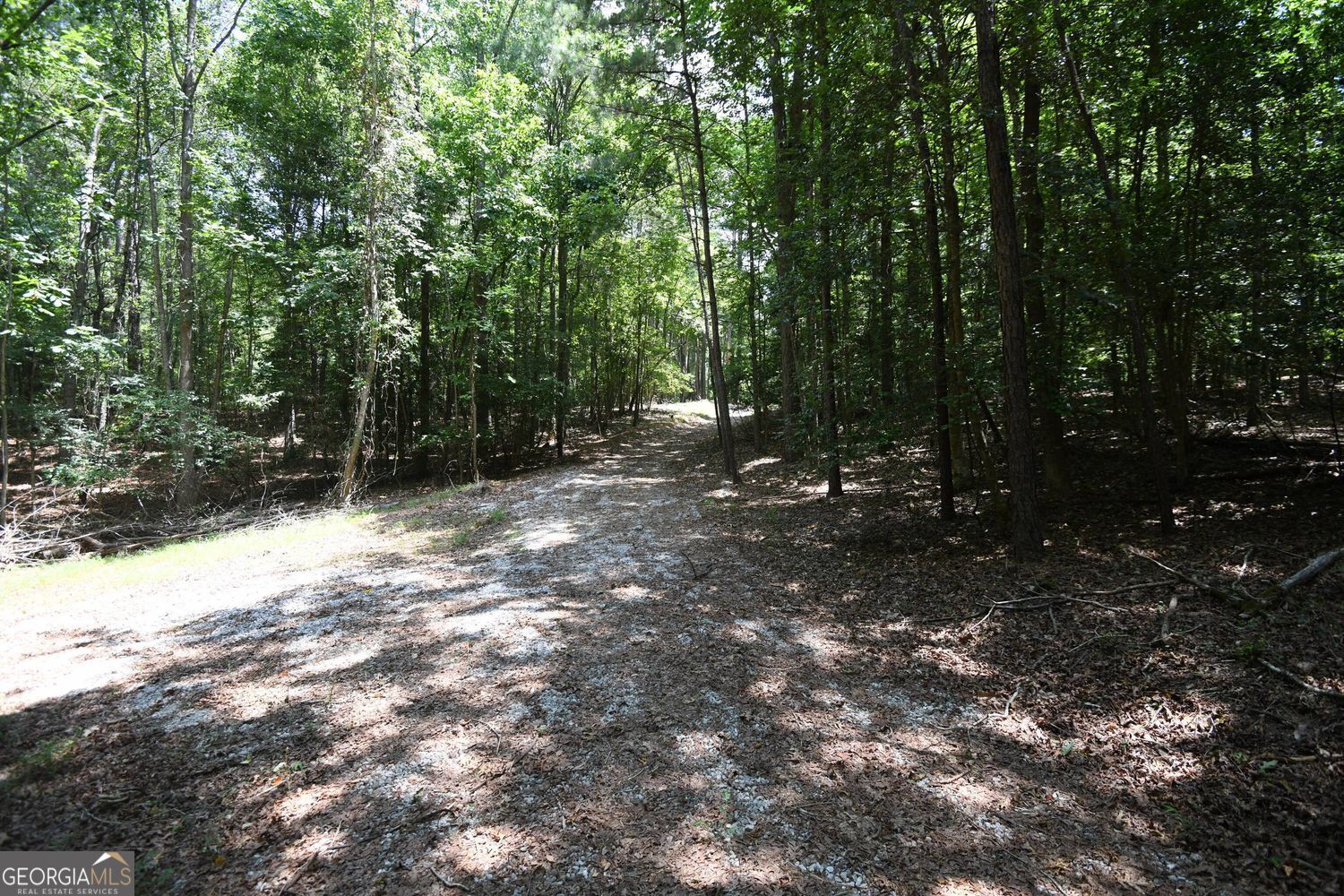 3269 Callie Still RD
