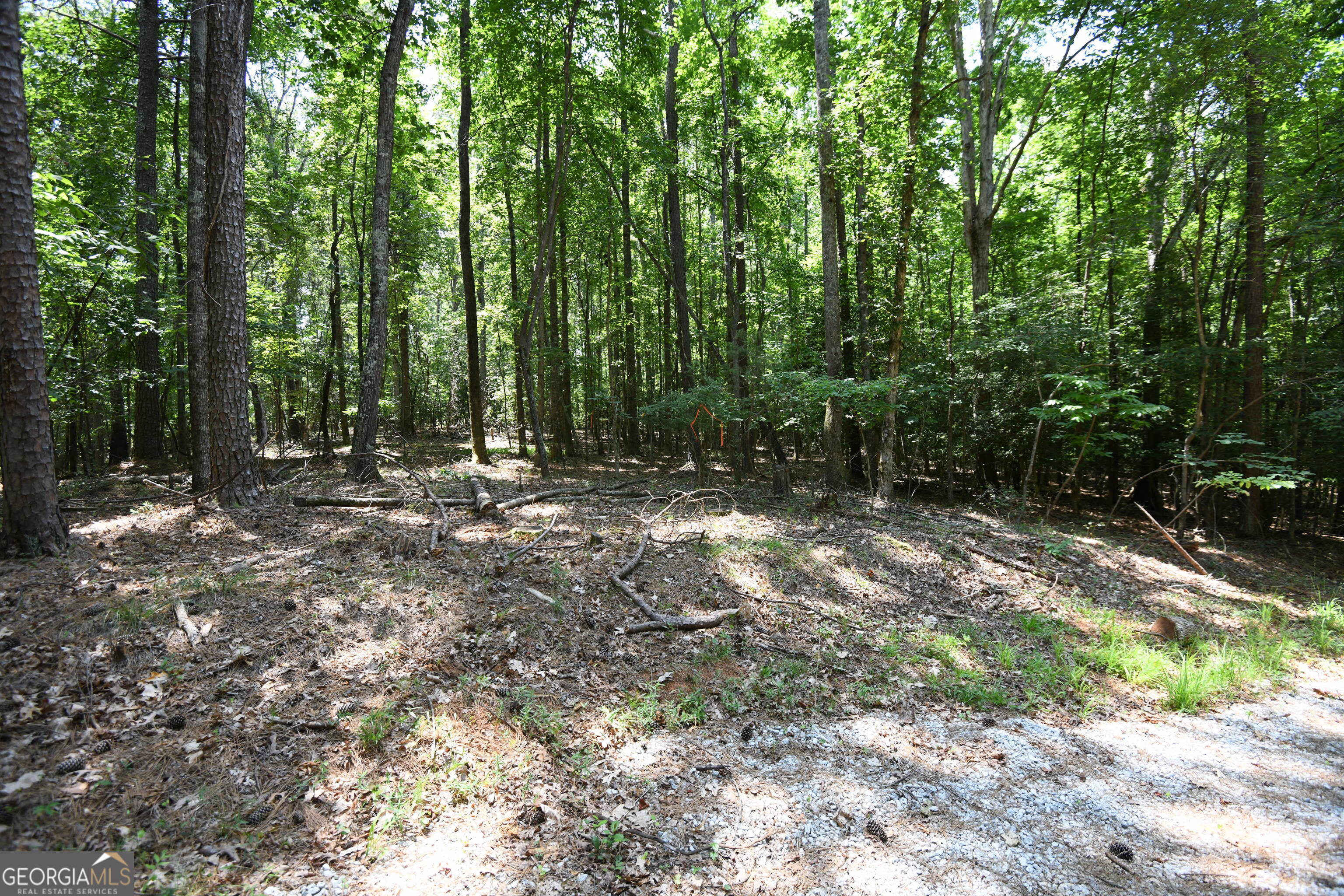 3269 Callie Still RD