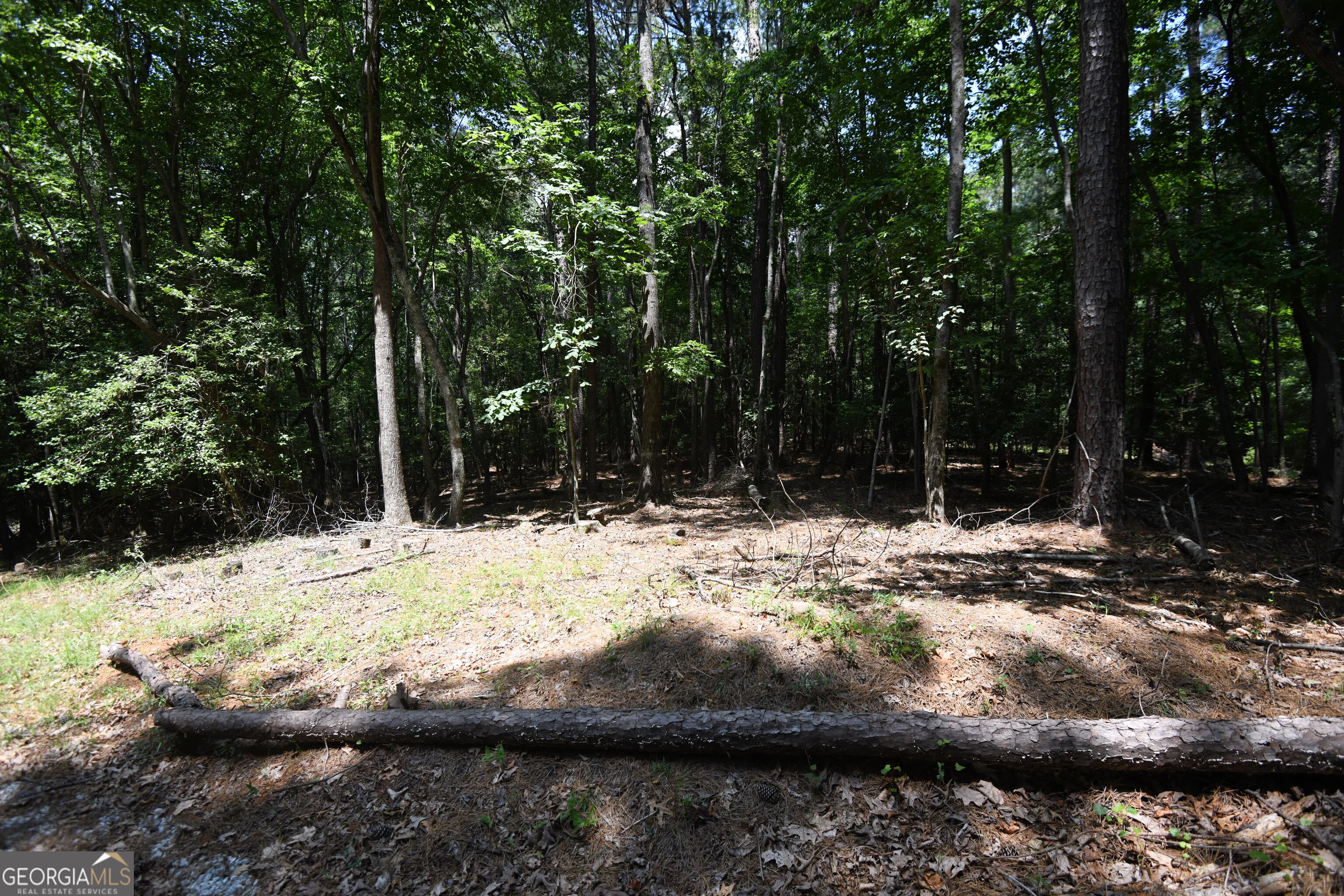 3269 Callie Still RD