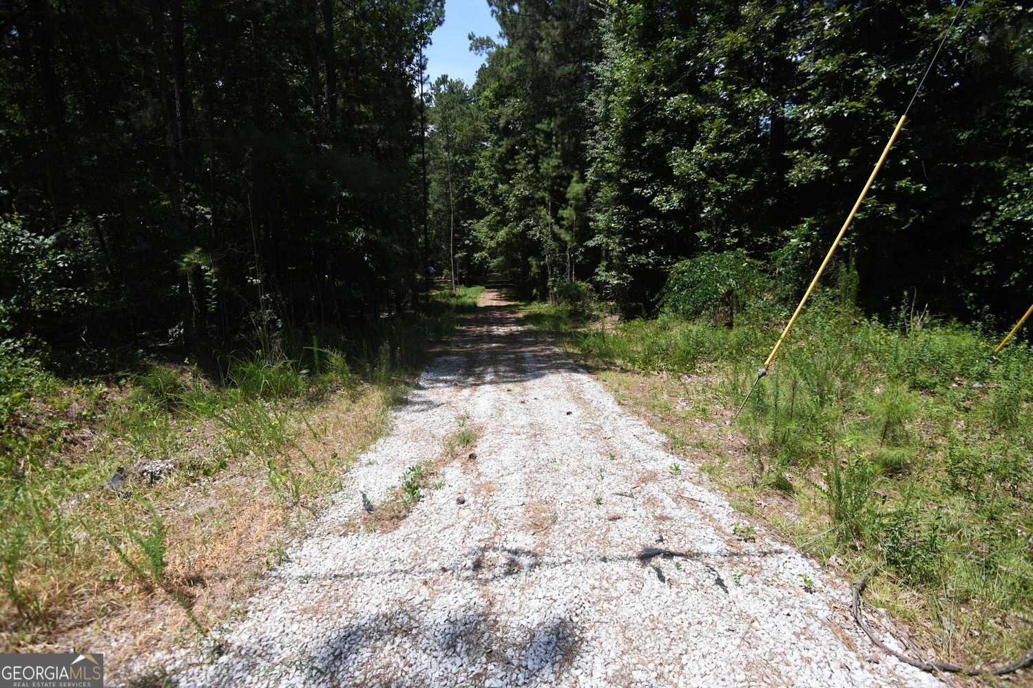 3269 Callie Still RD